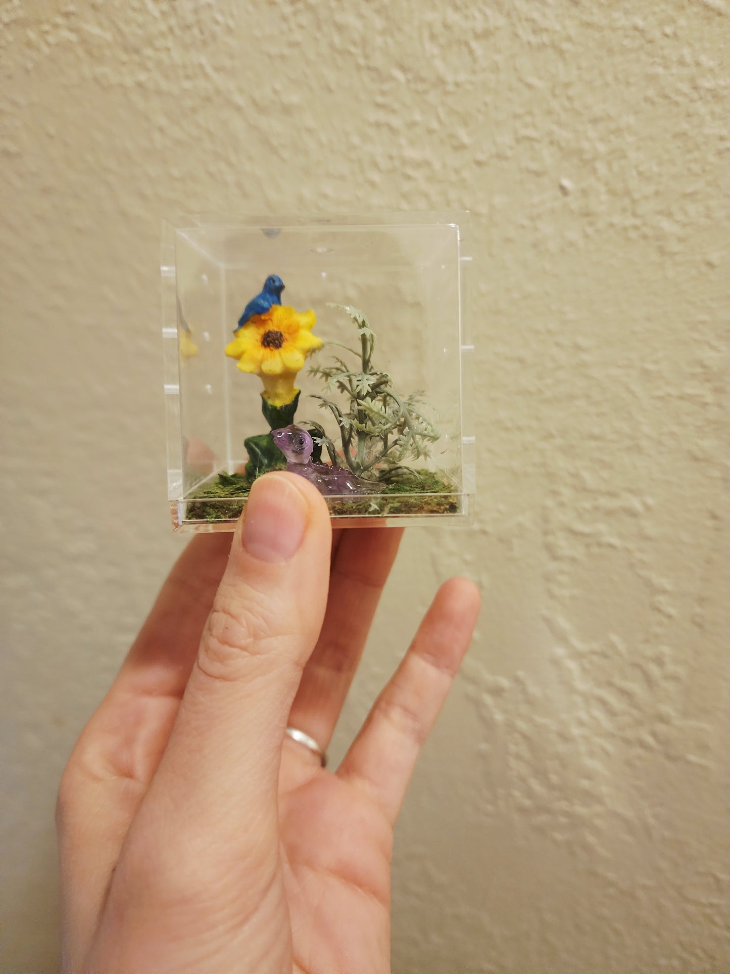 Sunflower Sunset 2x2