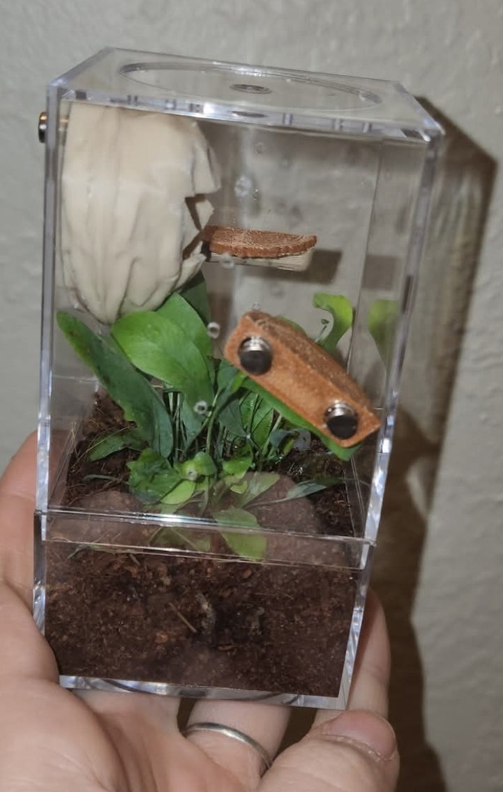 2x4 Plant Enclosure Kit