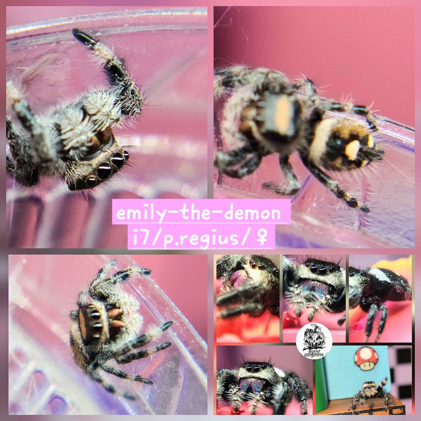 EMILY-THE-DEMON