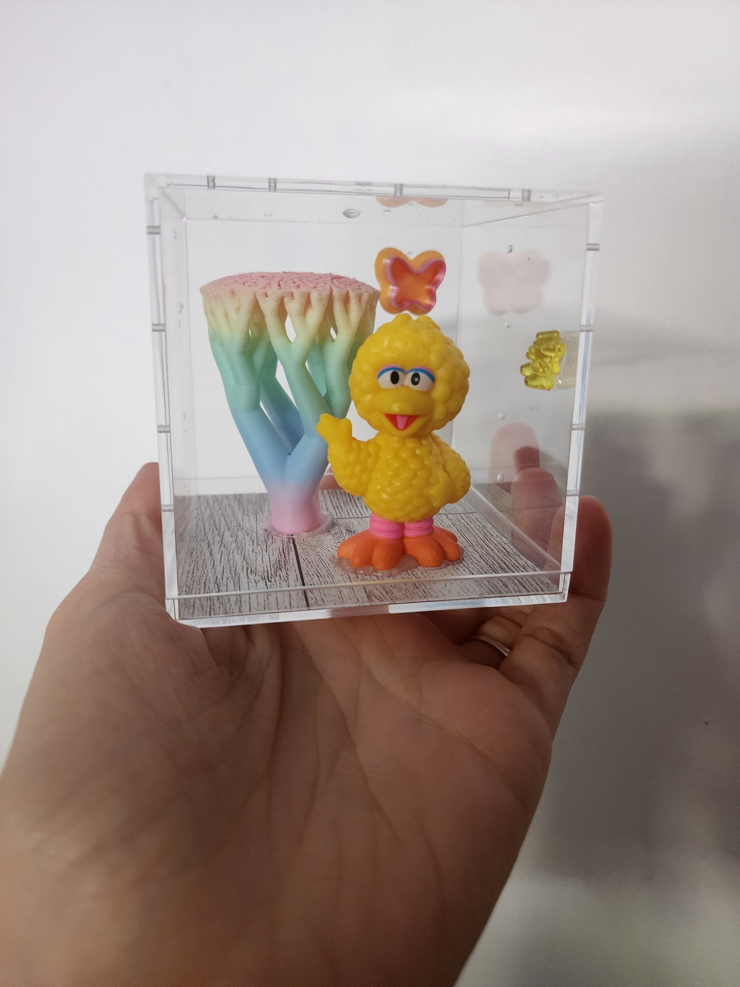 3x3 big bird