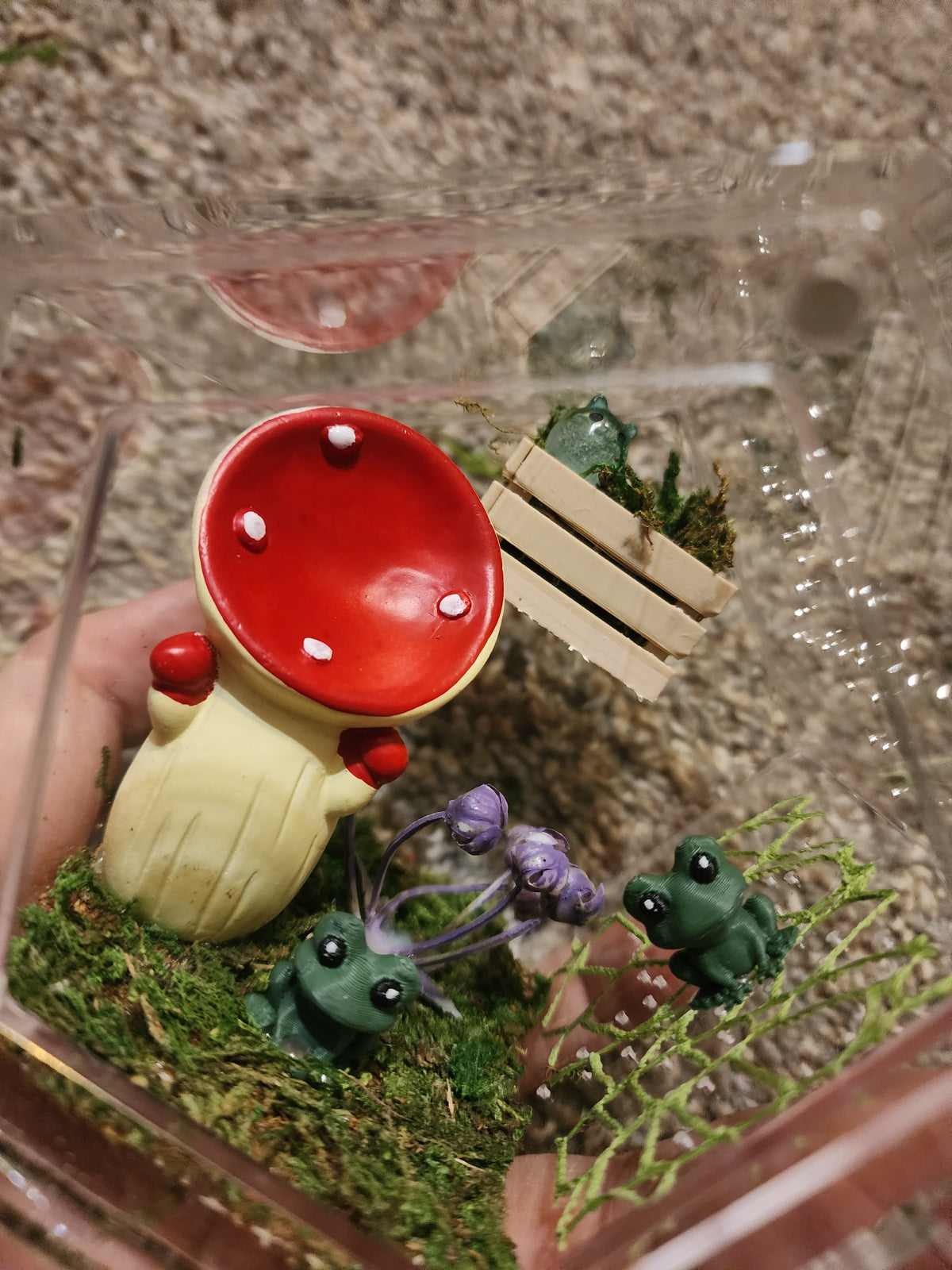 Mushrom/frogger vibes (med mystic)