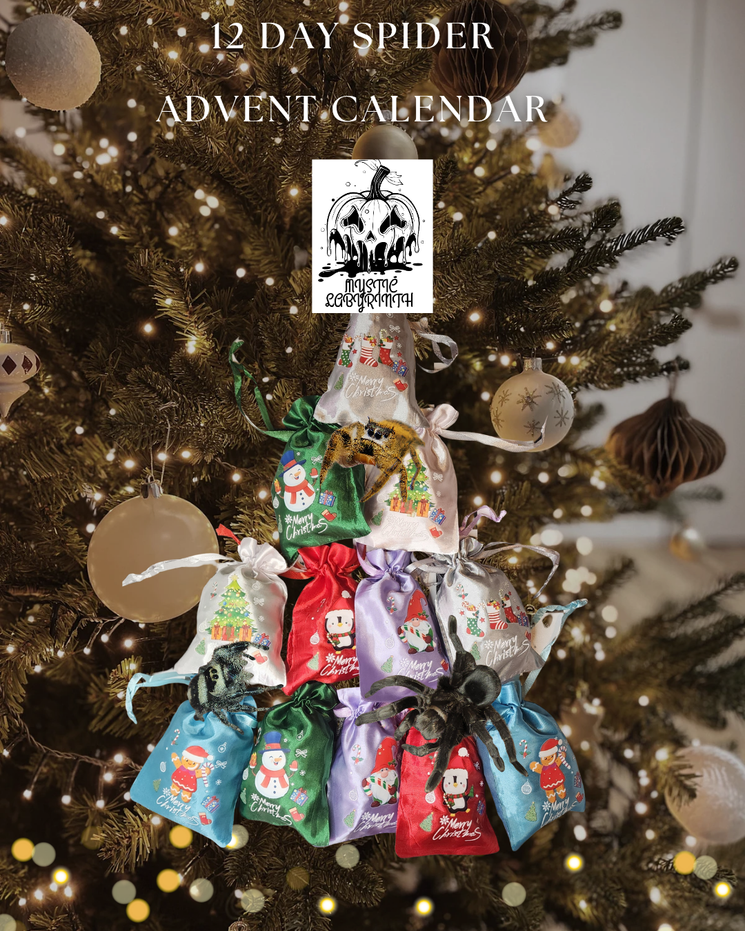 12 day Tarantula Advent Calendar
