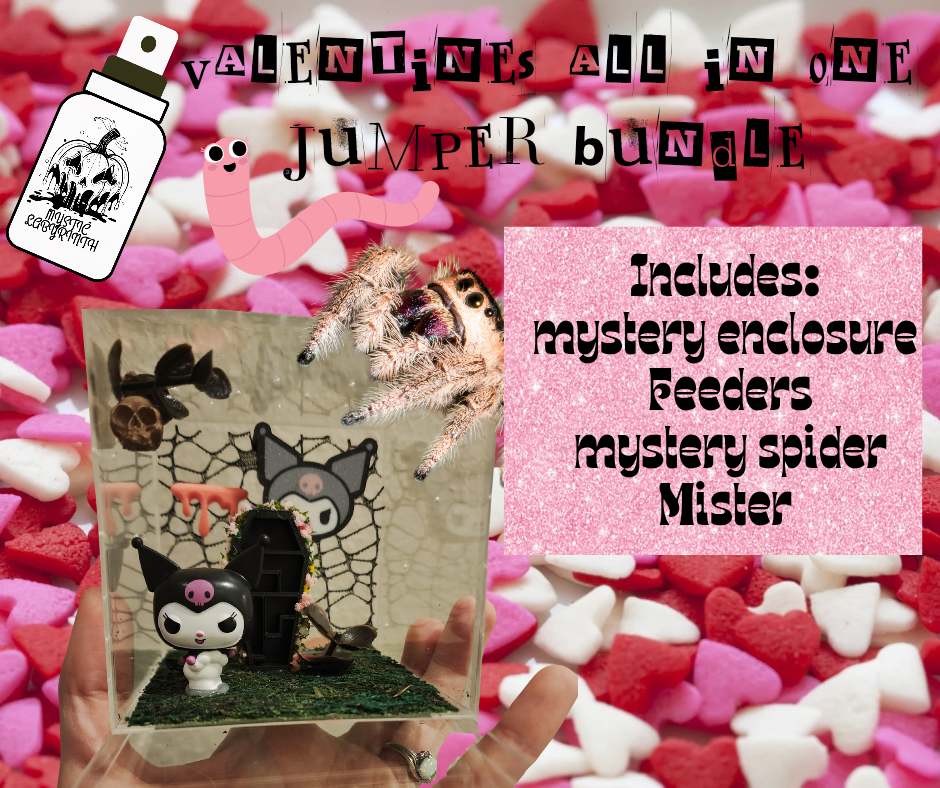 Mystery Jumper Complete bundle
