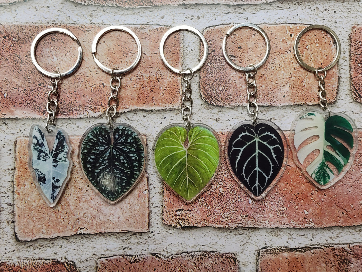 Plant Key Chains