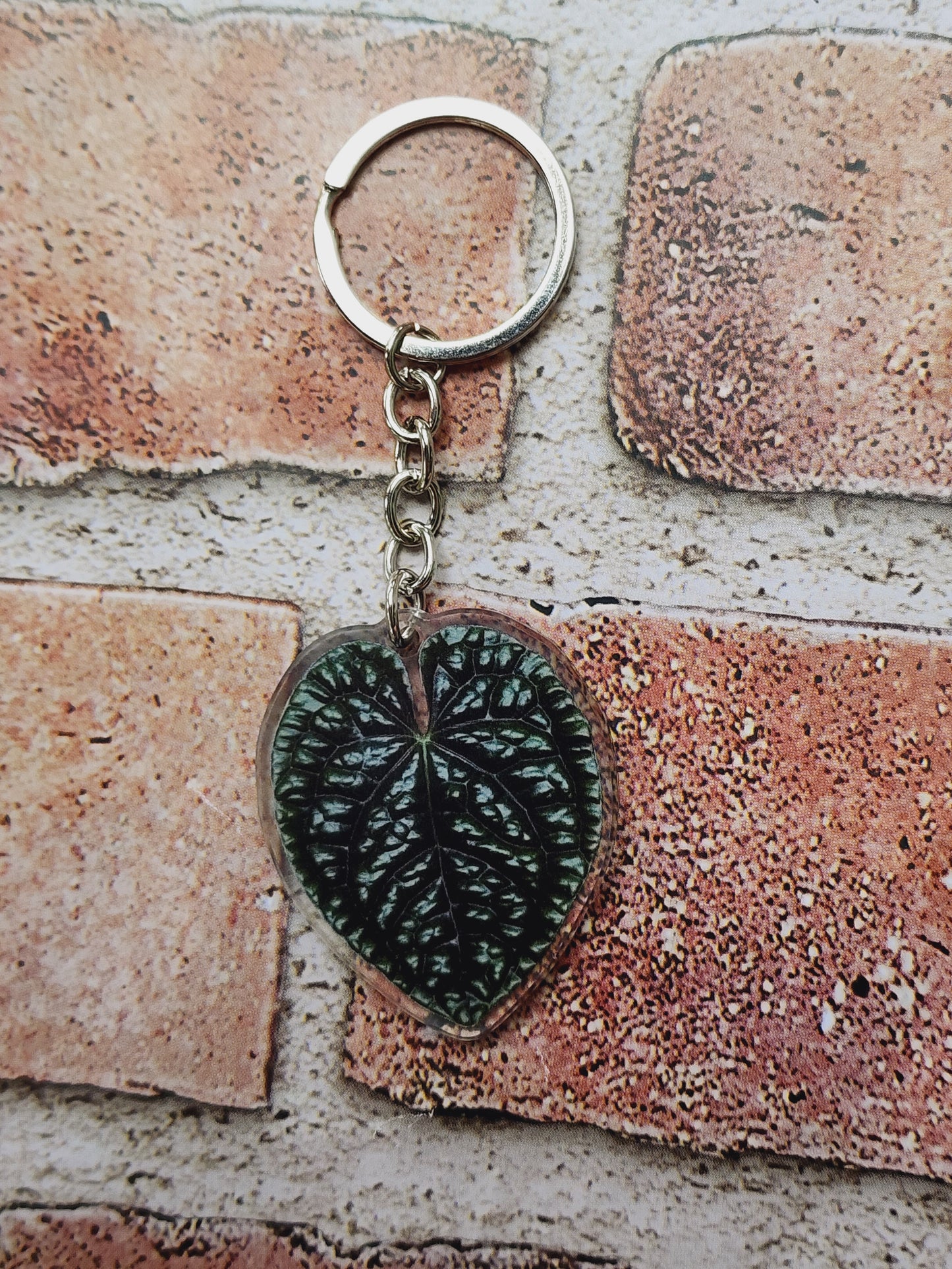 Plant Key Chains