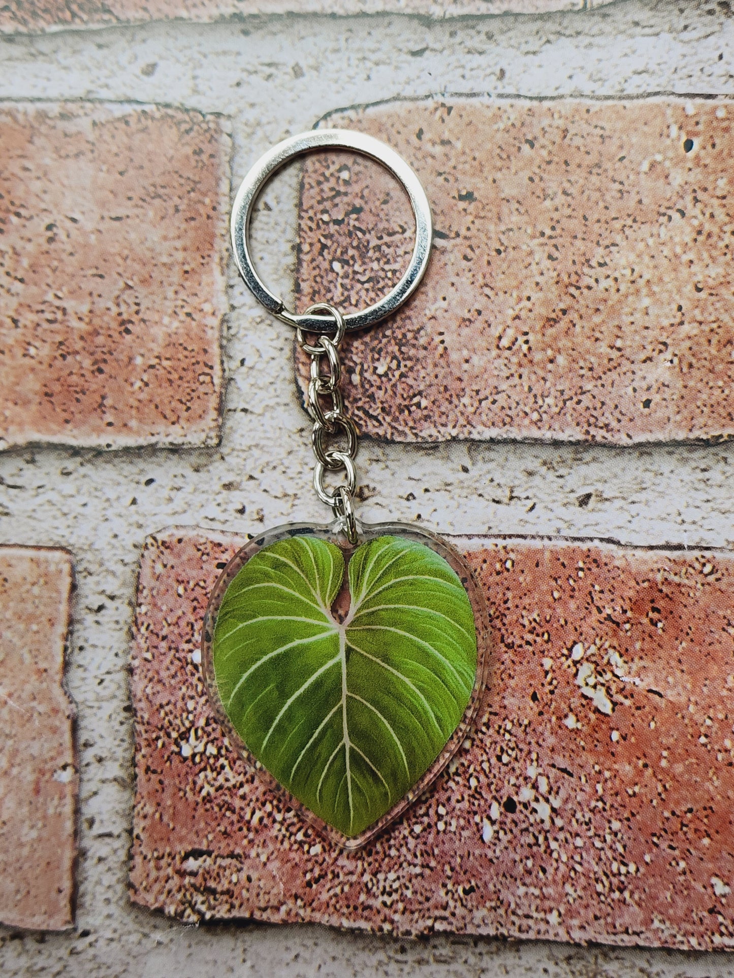 Plant Key Chains