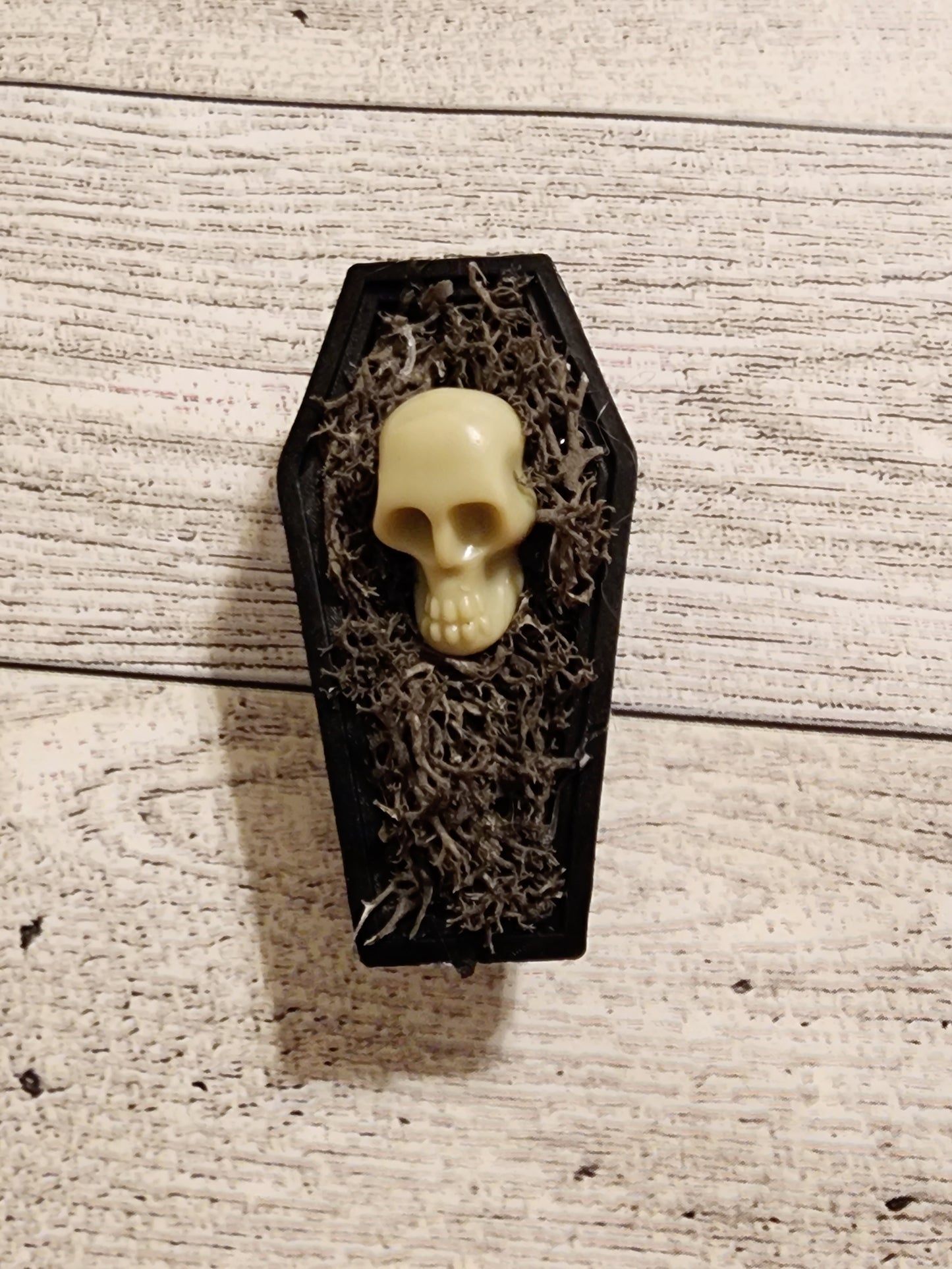 Skull Coffin