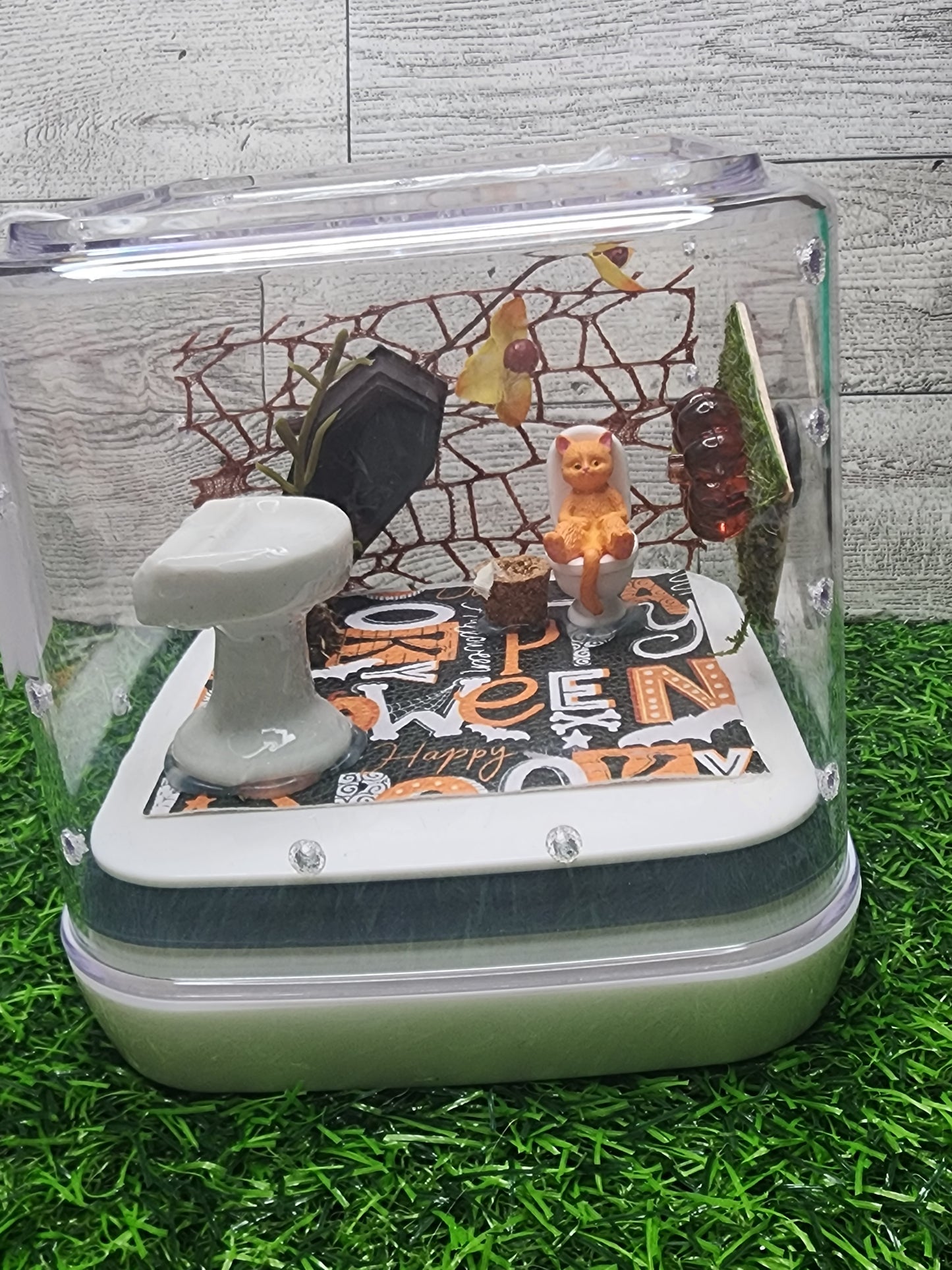 Spooky Cat Bathroom