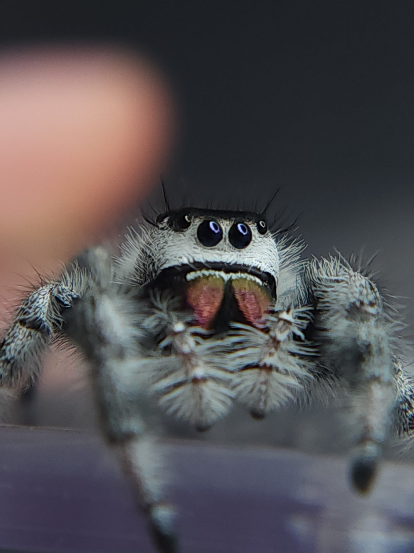 BUY 3 GET ONE FREE.