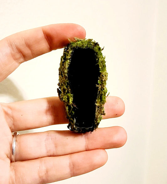 Moss Coffin Hide