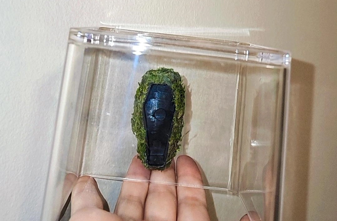 Moss Coffin Hide