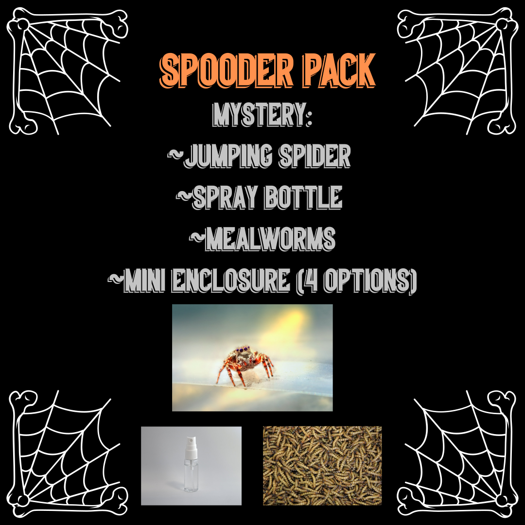 SPOODER PACK