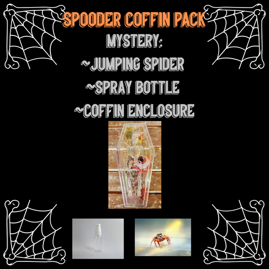 SPOODER COFFIN PACK