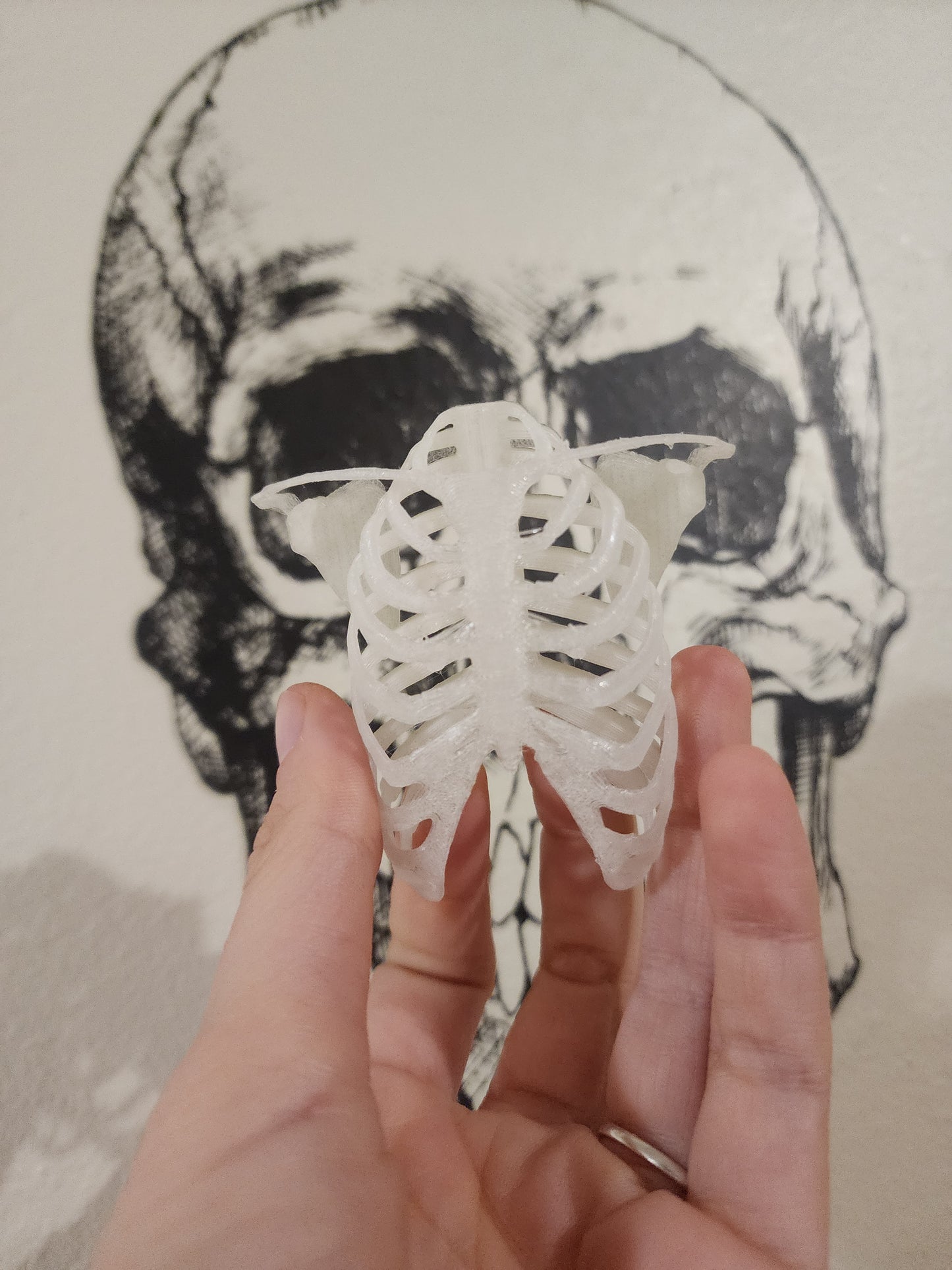 Rib Cage Hide/ Wall piece
