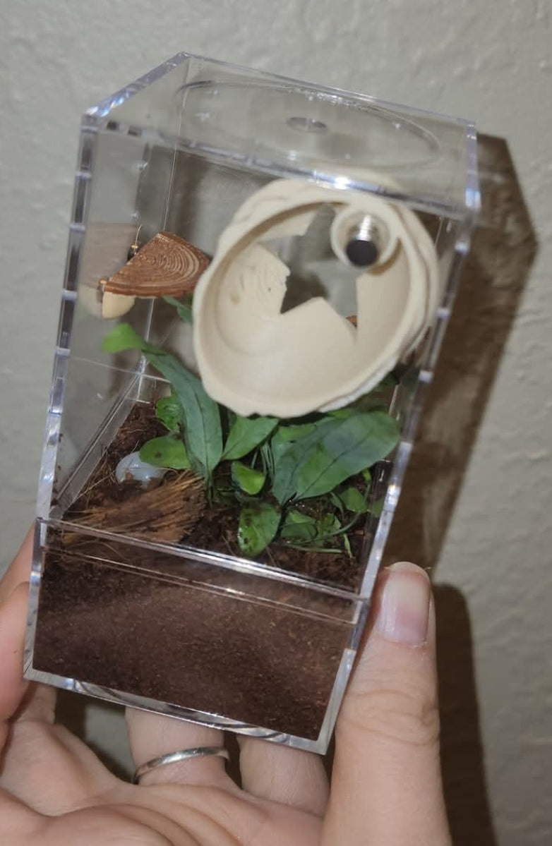 2x4 Plant Enclosure Kit
