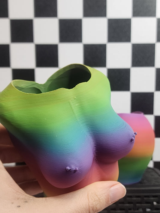 Female Rainbow Planters