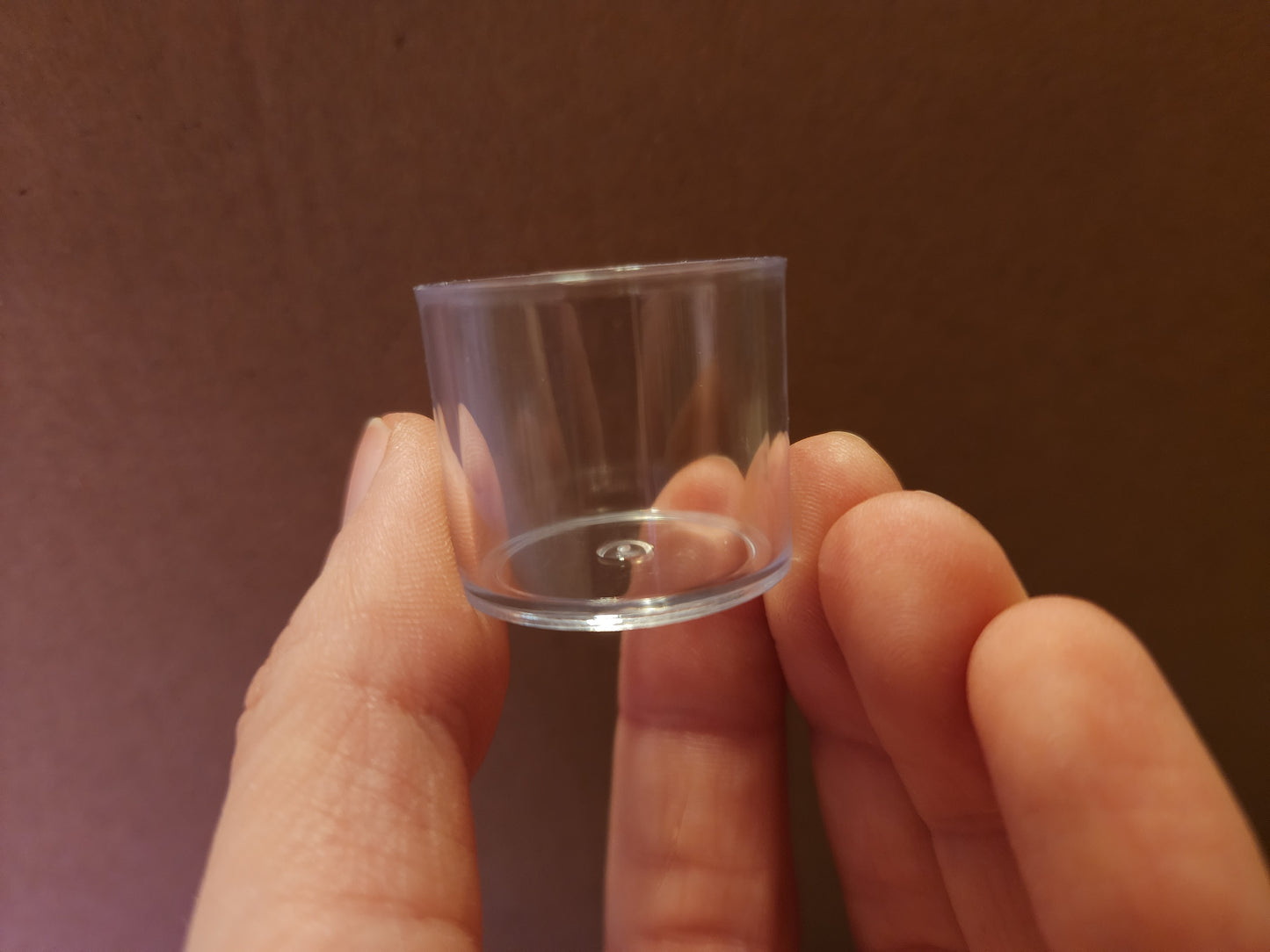 Clear Feeder Dish (no magnets)