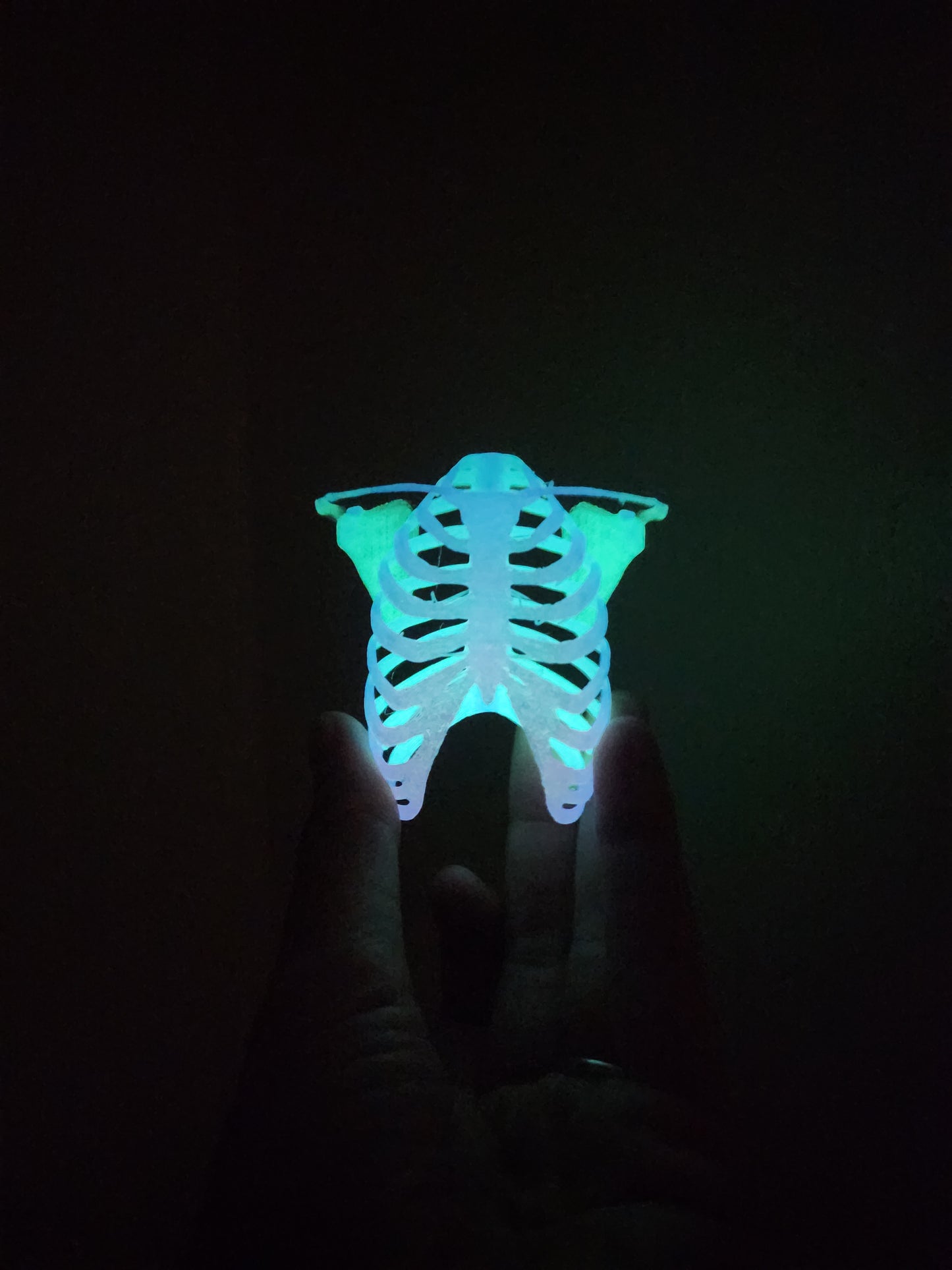 Rib Cage Hide/ Wall piece
