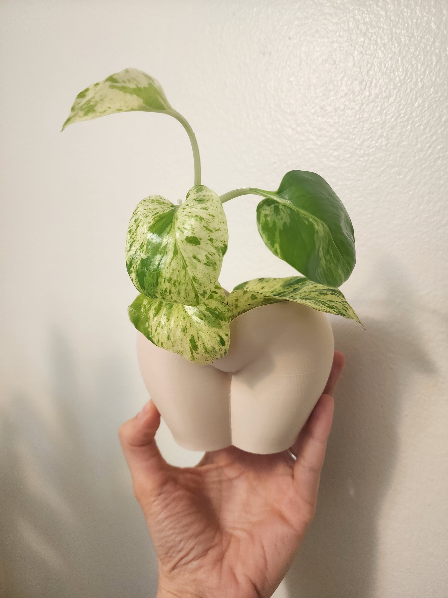 Female Tan  Planters (No piercings)
