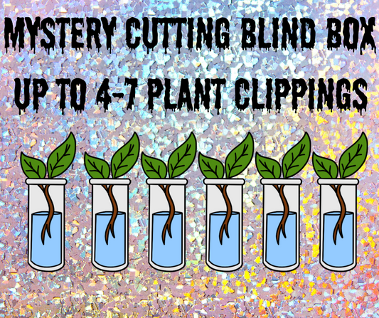 Mystery Plant Cutting blind box
