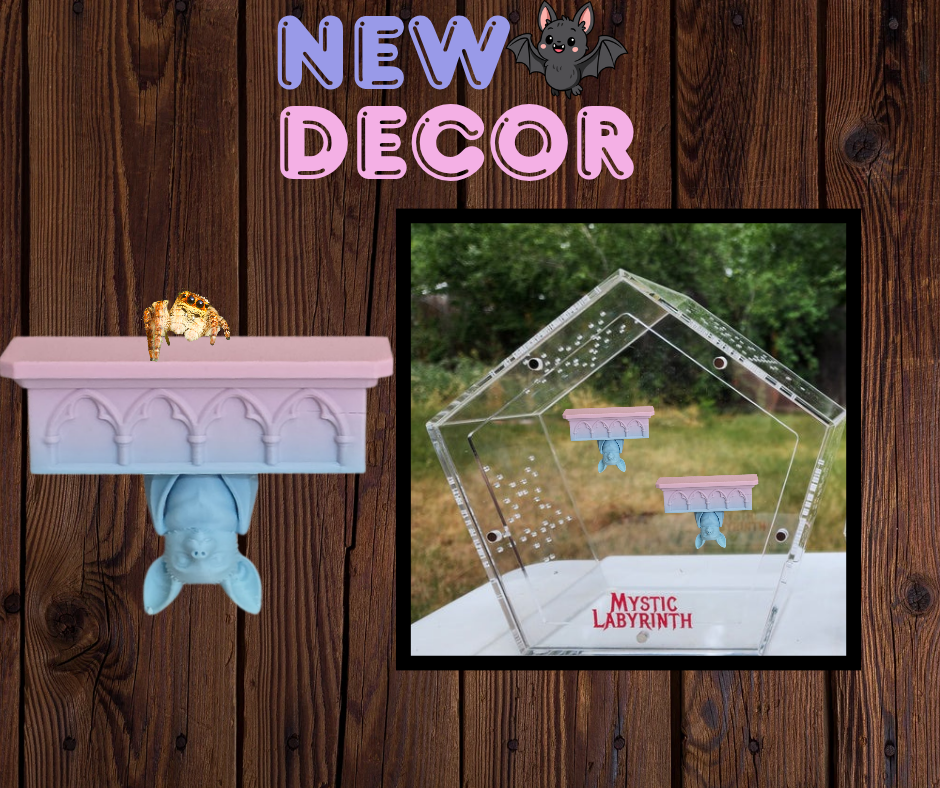 Pre-order: Bat Shelf