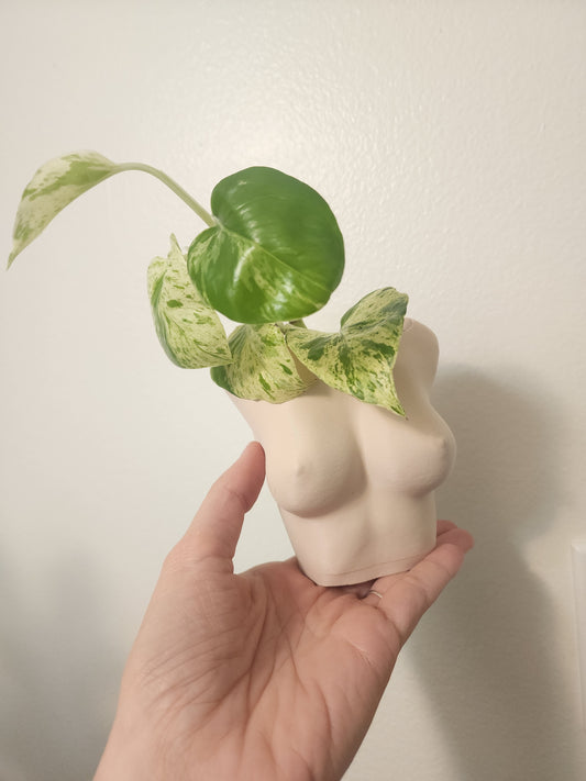 Female Tan  Planters (No piercings)