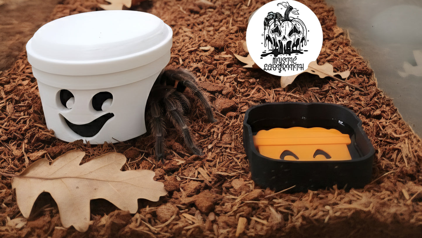 Boo Bucket Tarantula Kit