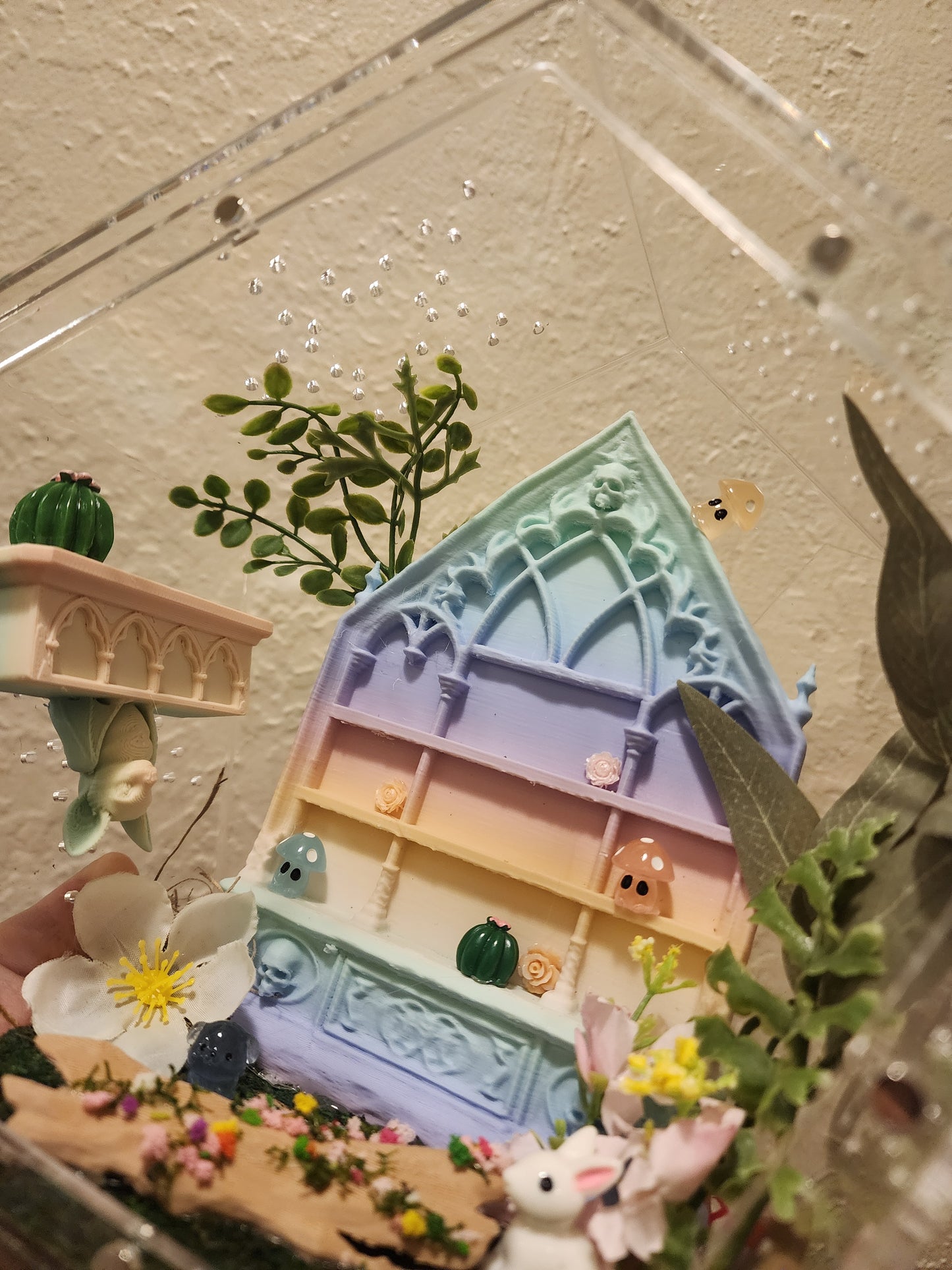 Cabinets of Curiosities (LG Mystic)