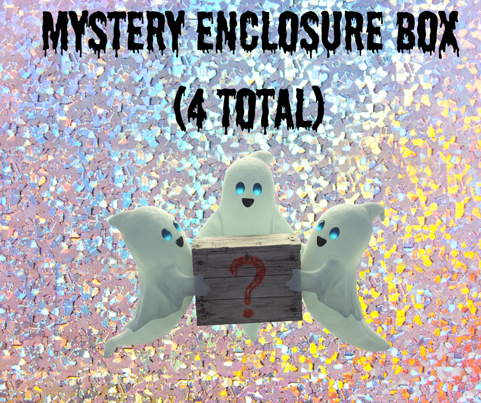 Mystery 4pk Enclosure Blindbox