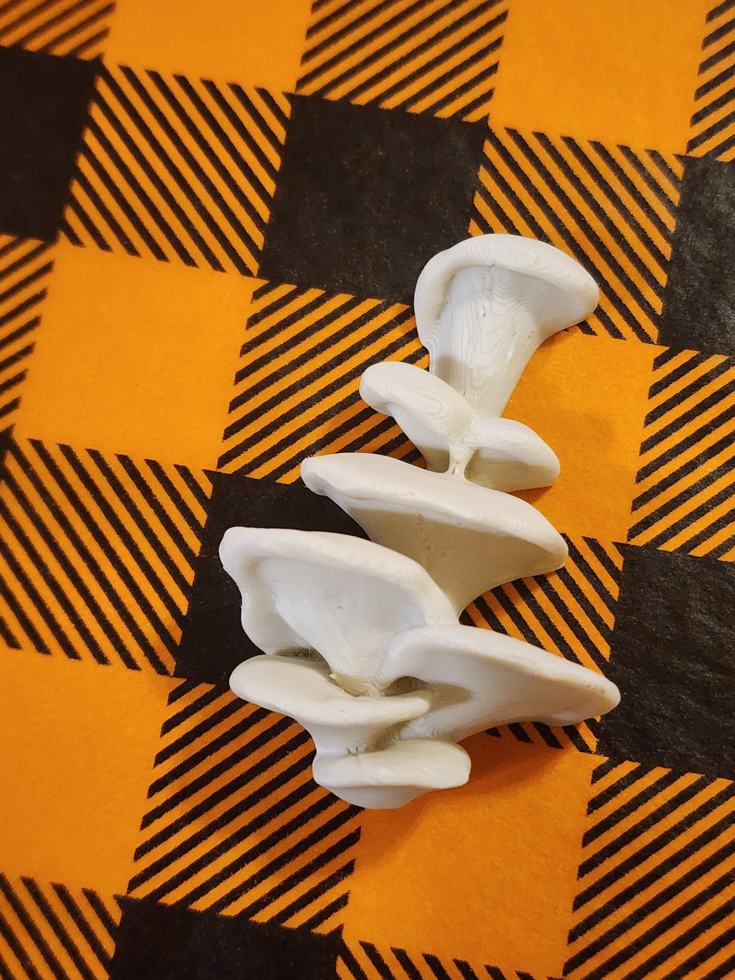 Mushroom Tan Cluster