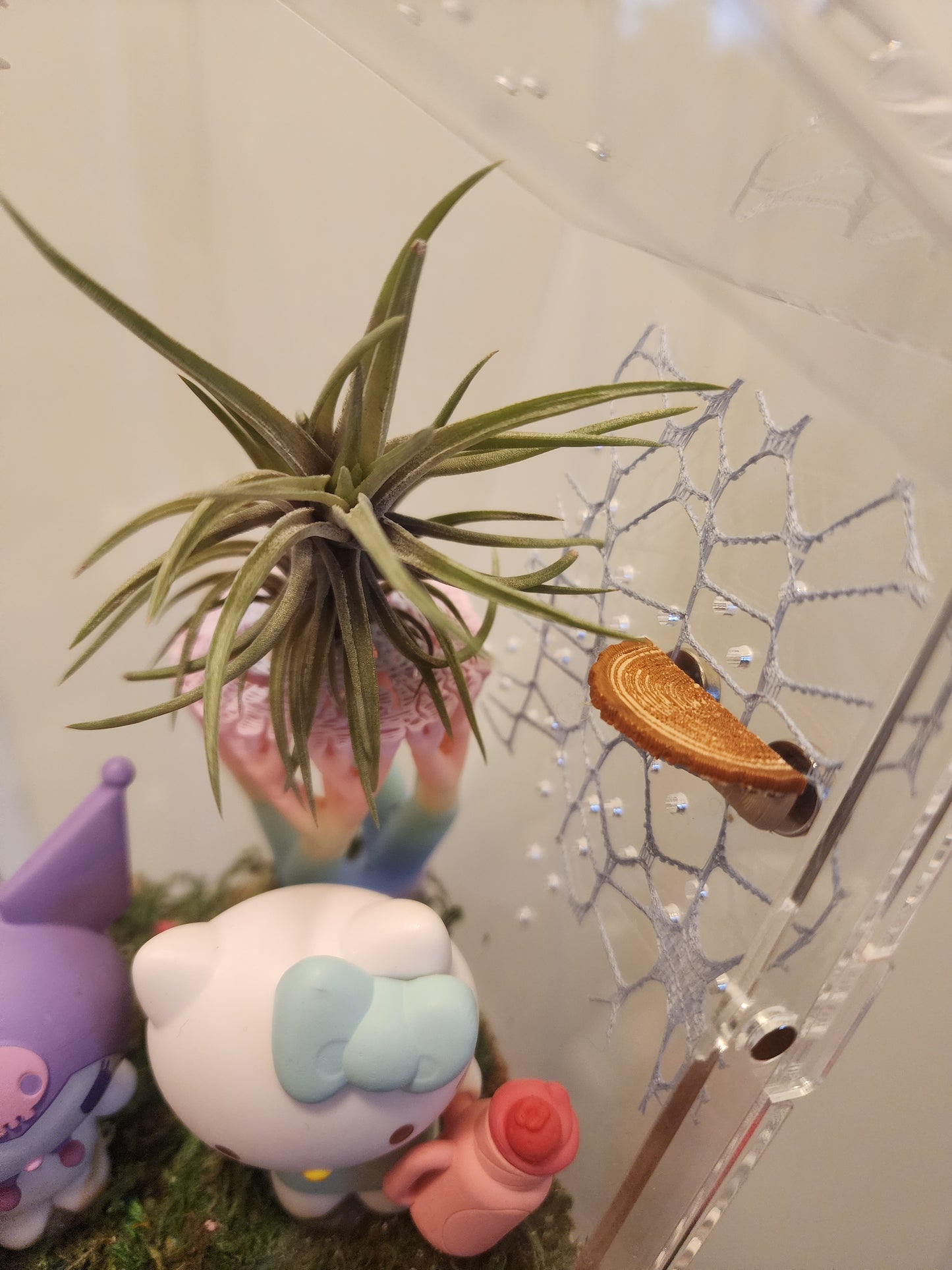 HELLO KITTY FAIR DAY