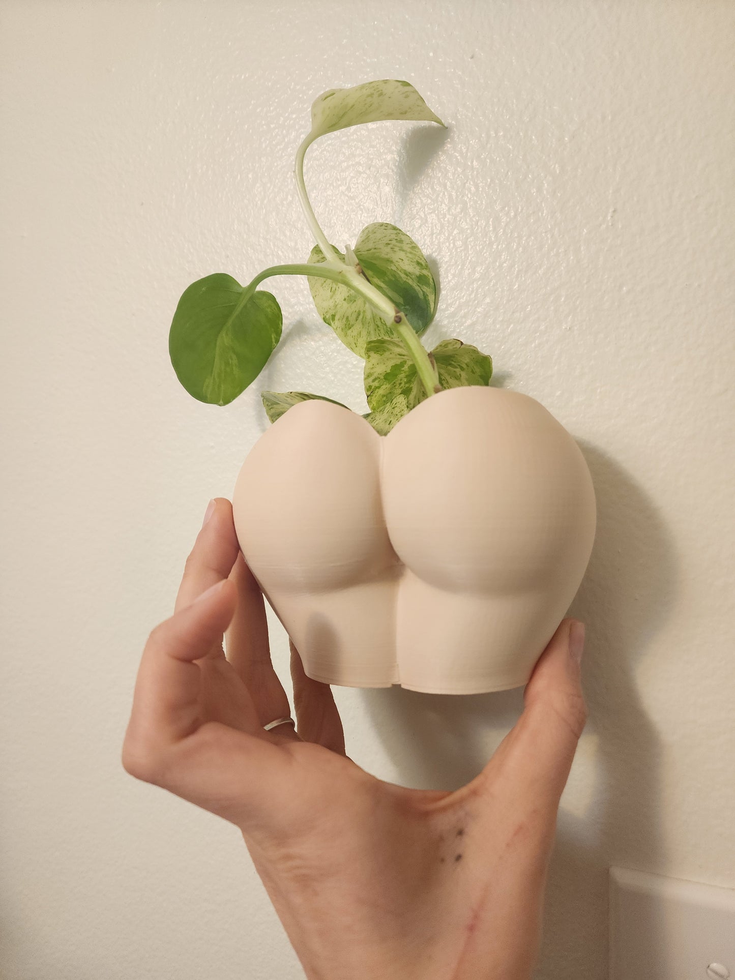 Female Tan  Planters (No piercings)