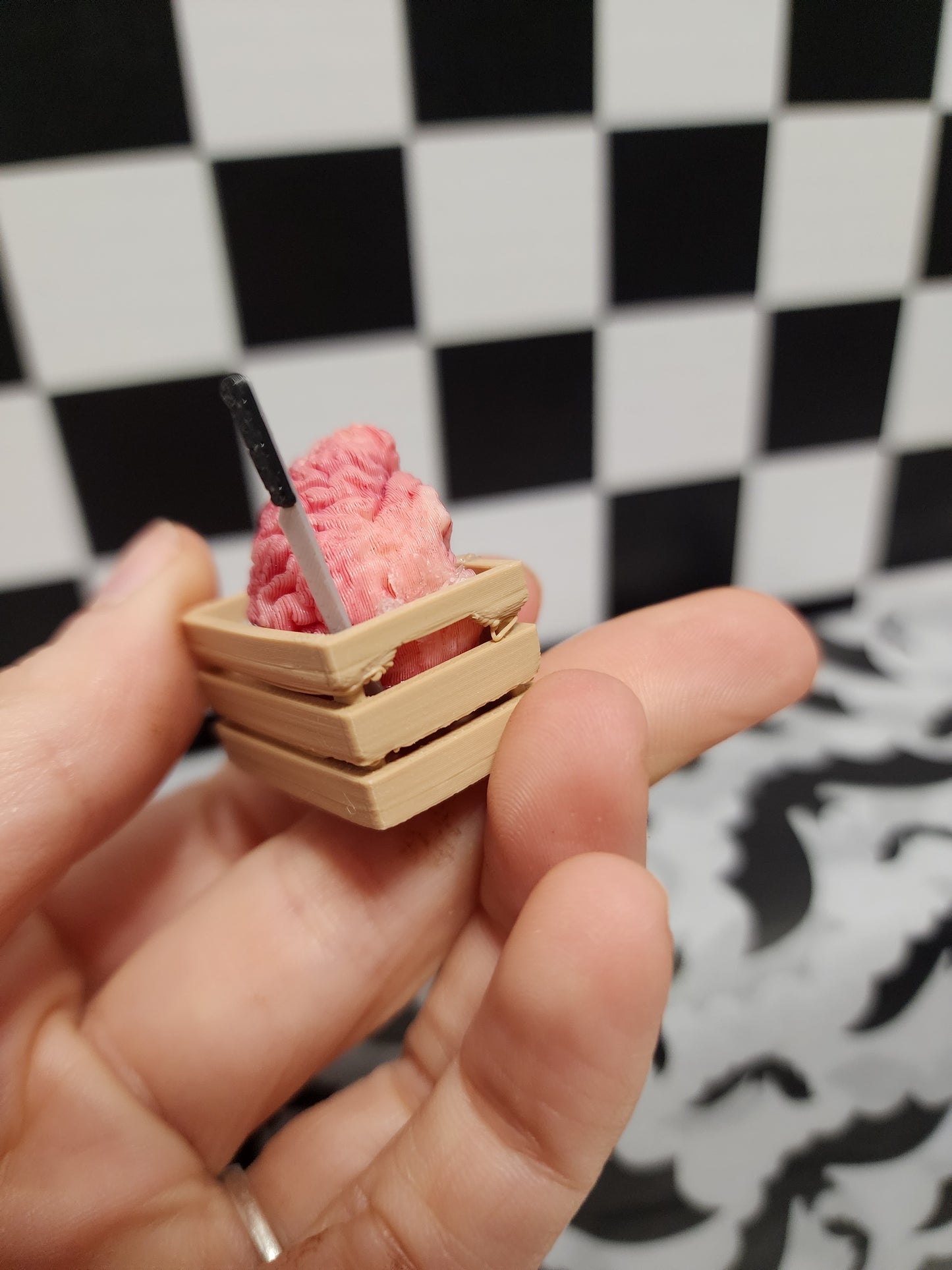Brain Supplies in a Crate