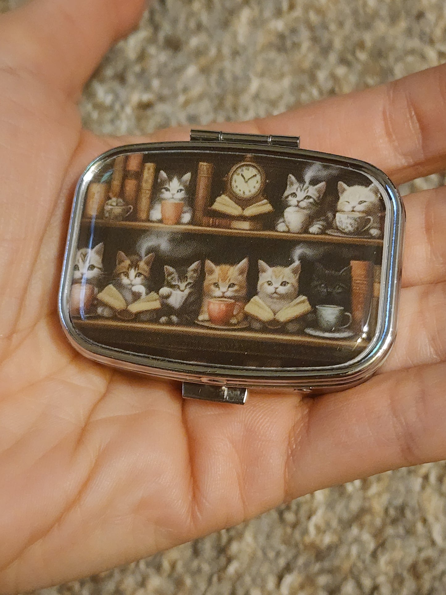 Cat bookshelf container