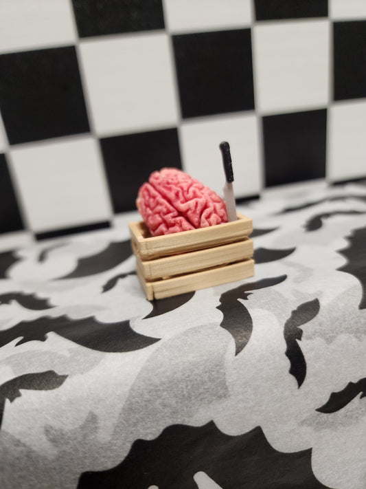 Brain Supplies in a Crate