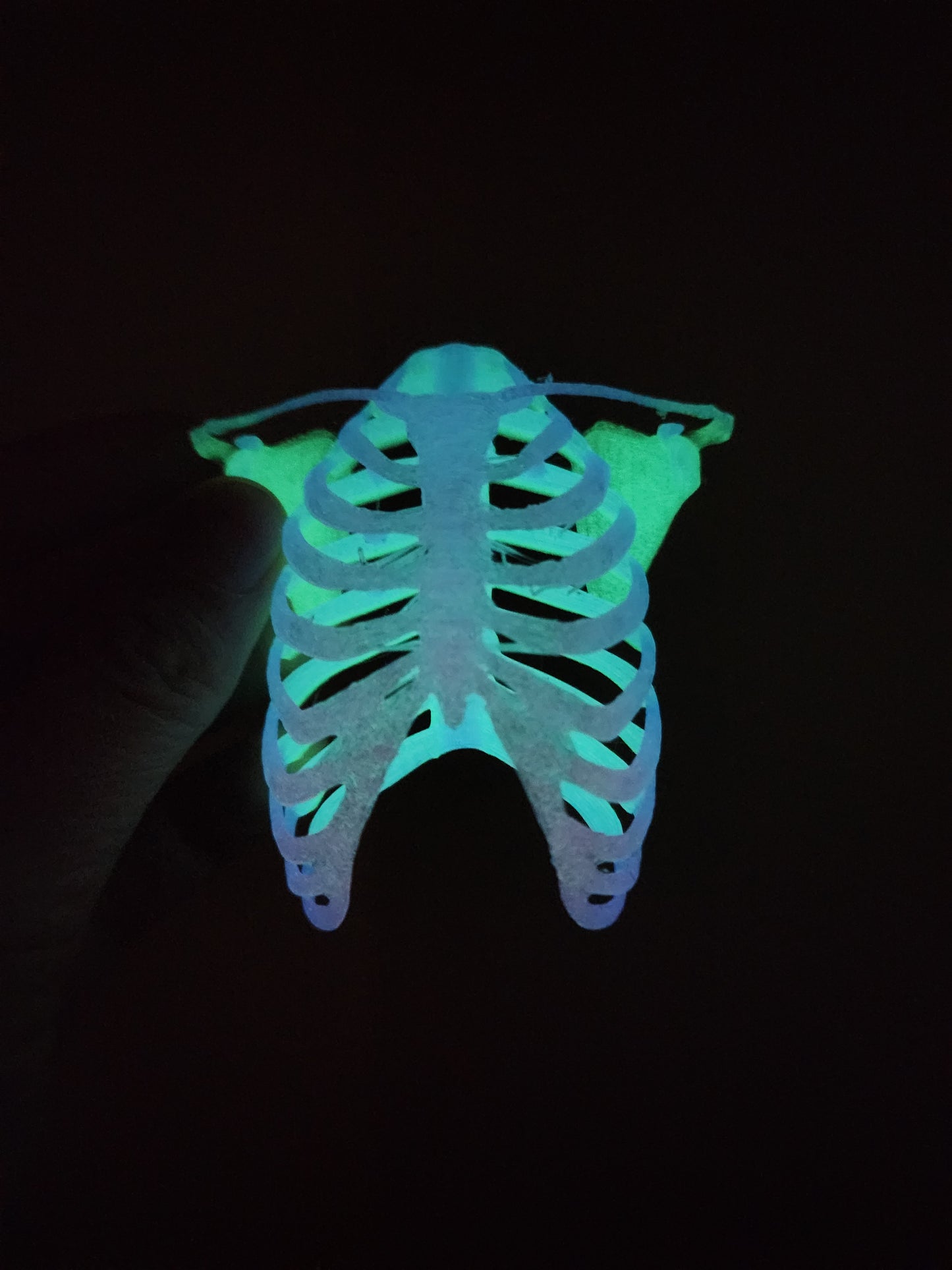 Rib Cage Hide/ Wall piece