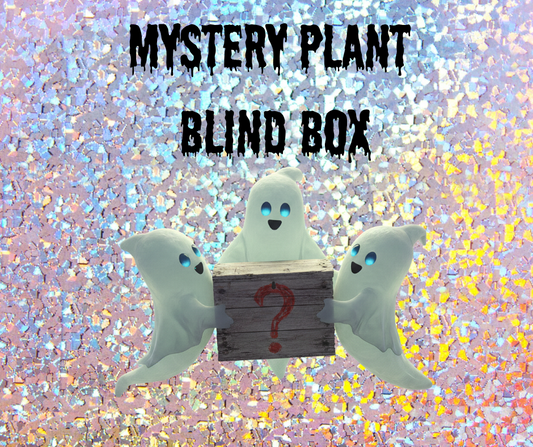 Mystery Plant Blindbox