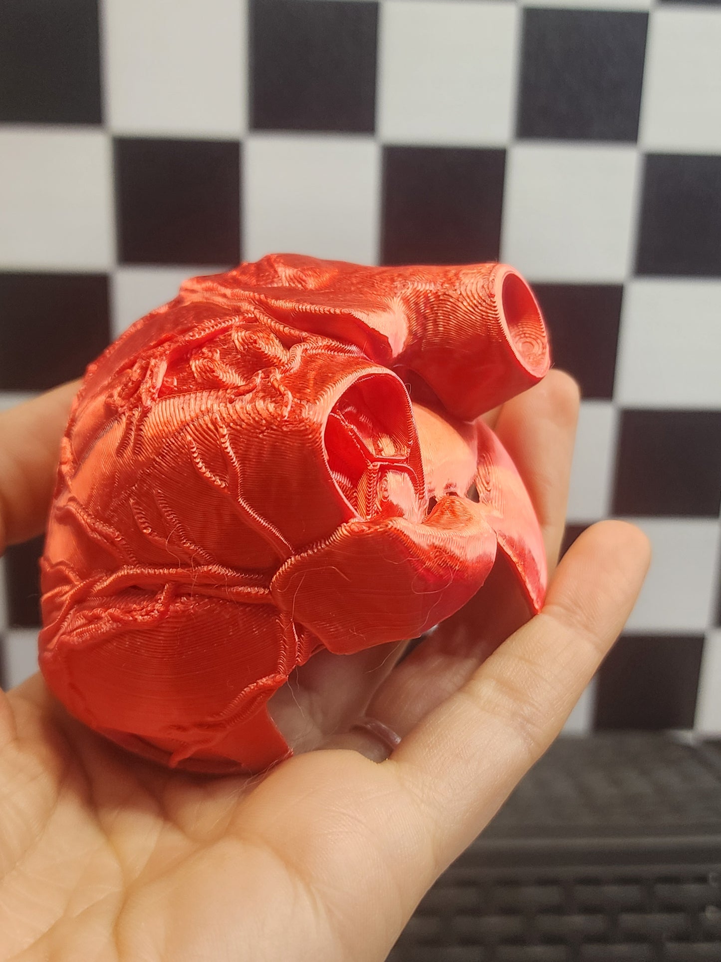 Heart Invert/Tarantula Hide