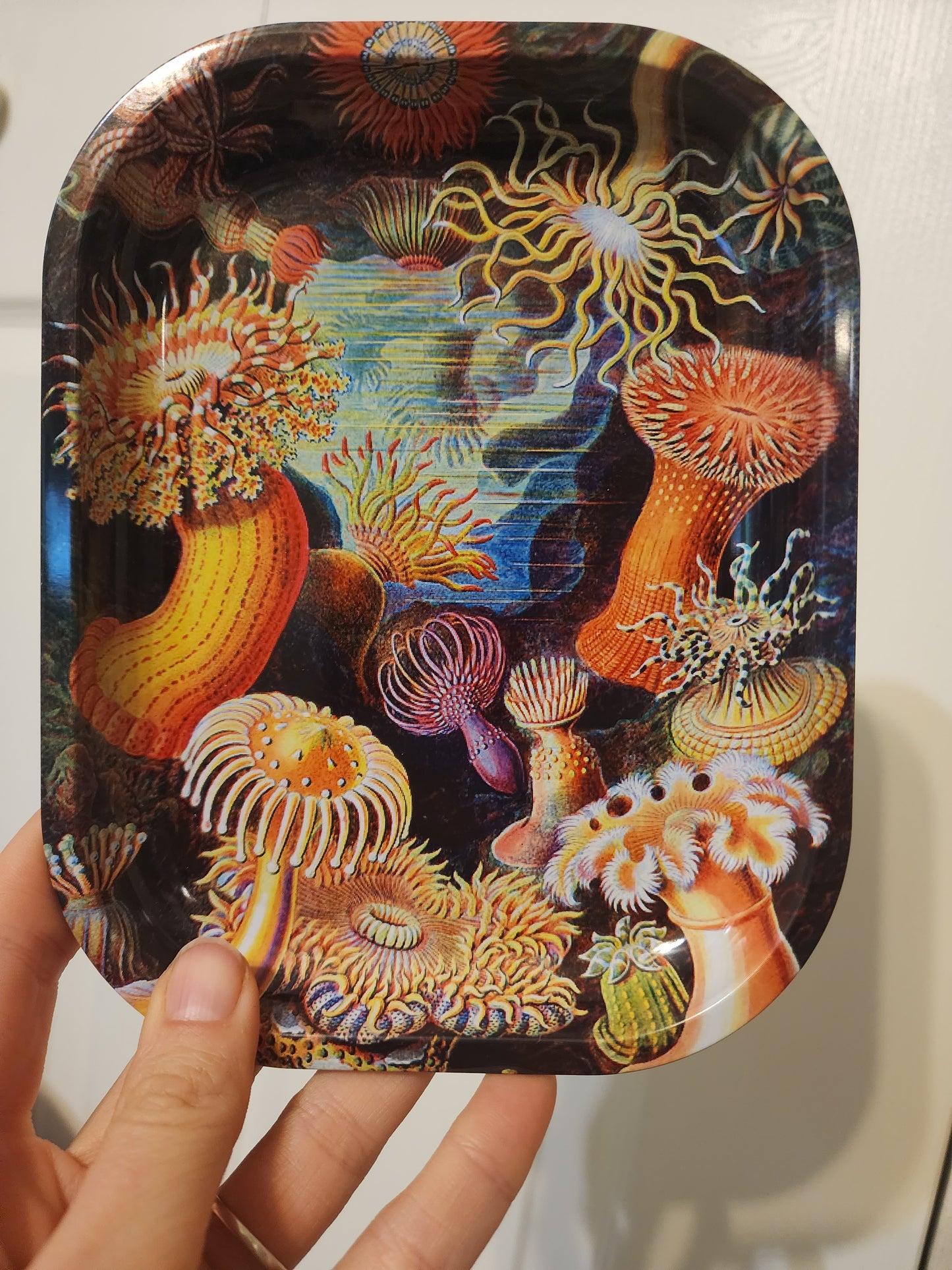 METAL TRAY  (sea)