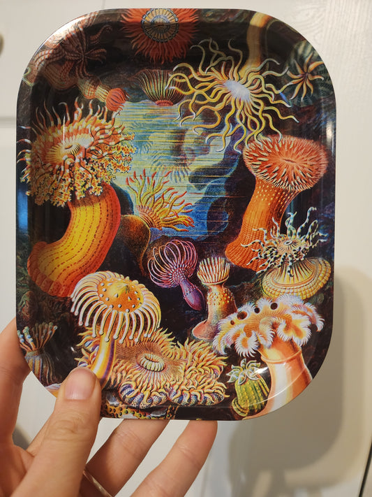METAL TRAY  (sea)
