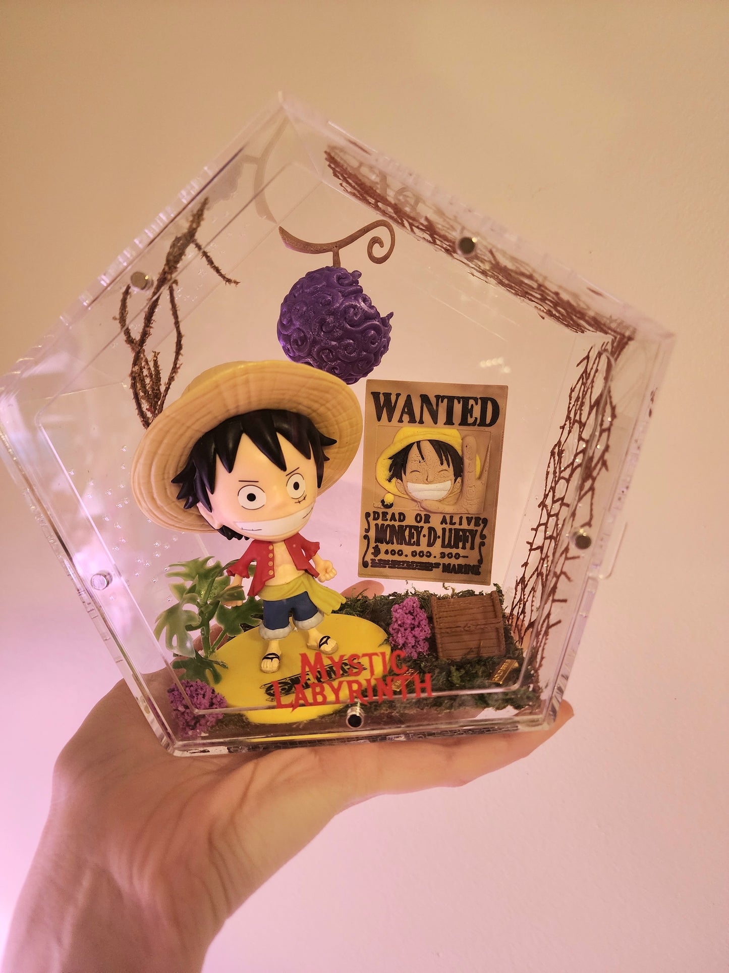 Luffy Treasure