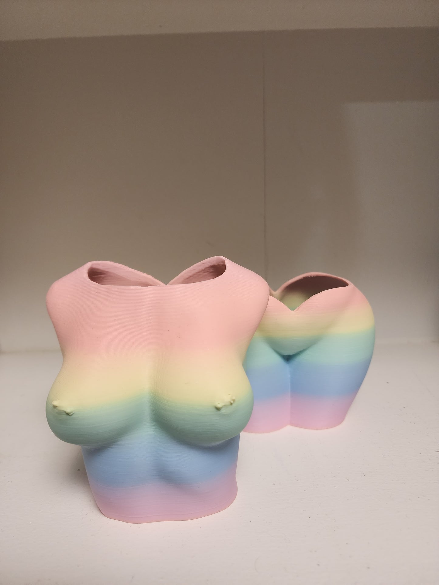 Female Planters 2pk (different colors!)