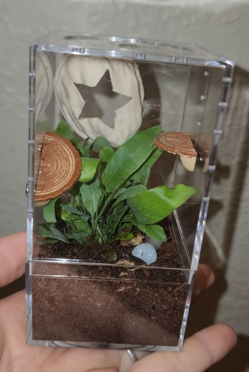 2x4 Plant Enclosure Kit