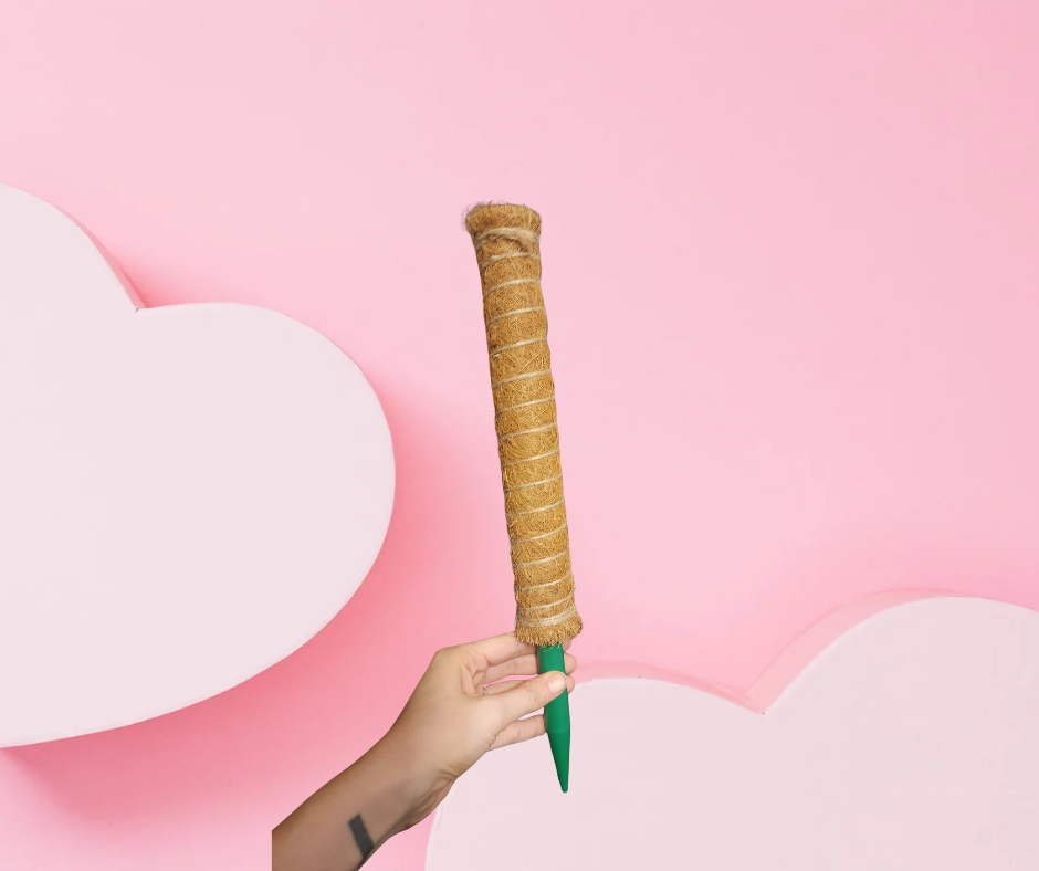 Moss Pole (Stackable)