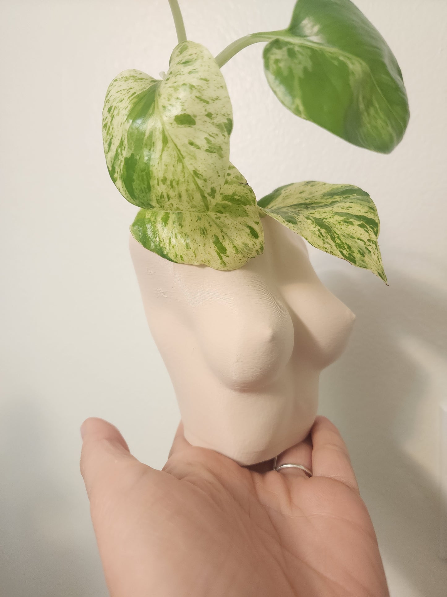 Female Tan  Planters (No piercings)