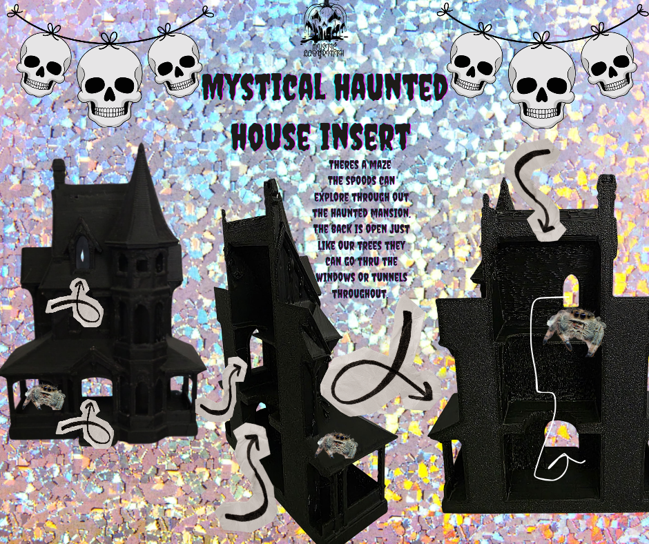 Mystical hauntedhouse insert
