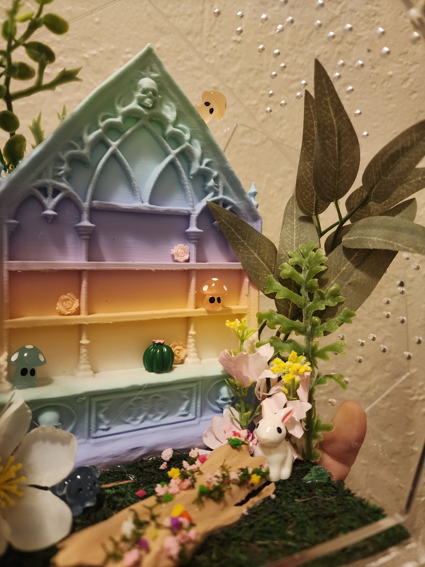 Cabinets of Curiosities (LG Mystic)