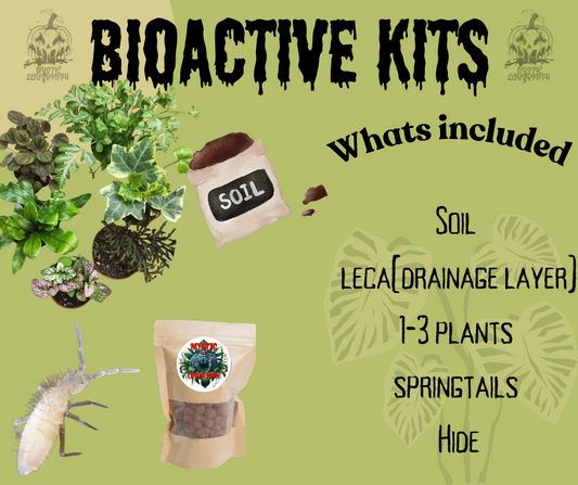 Bioactive Kits (all in one)