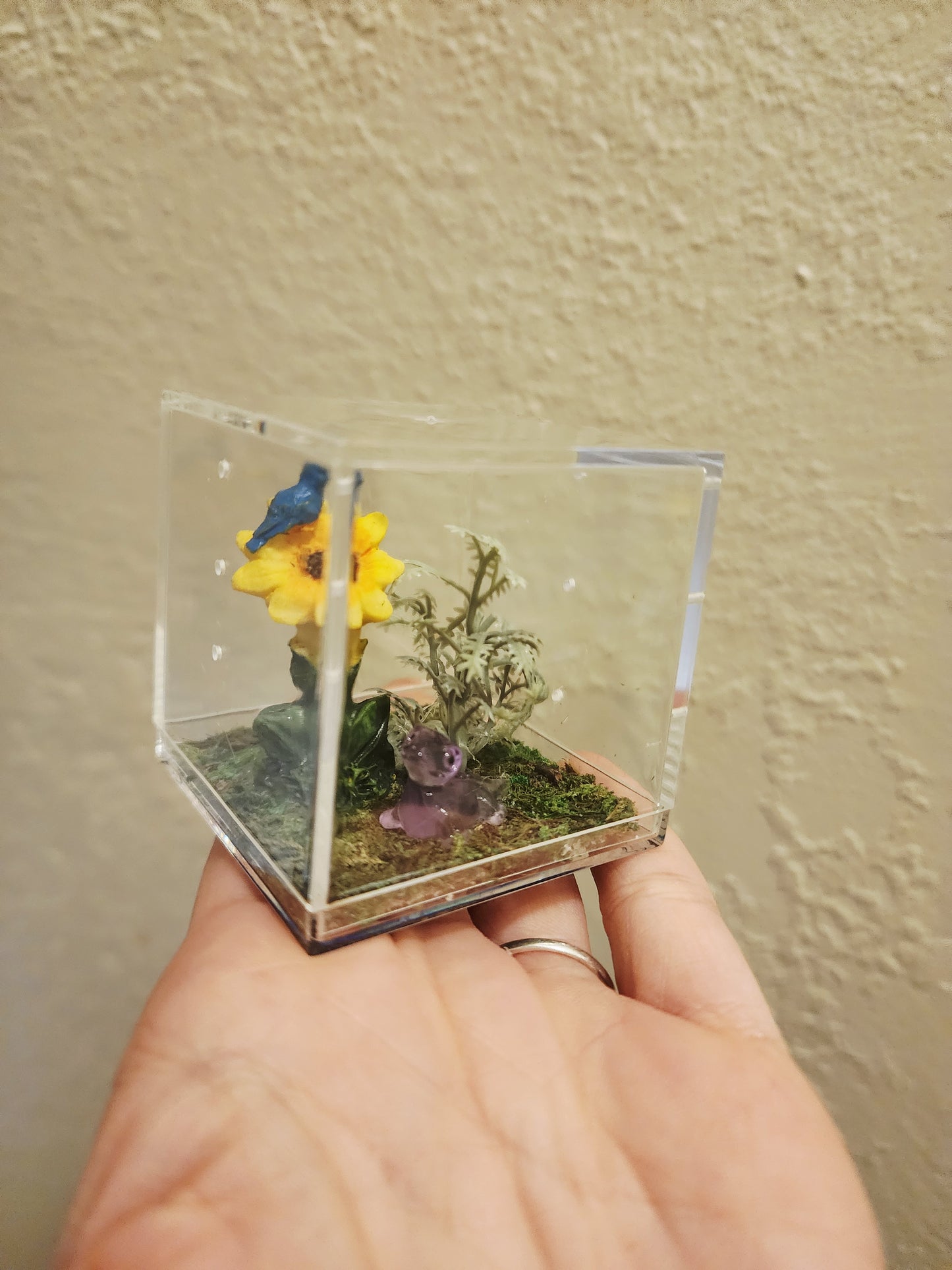 Sunflower Sunset 2x2