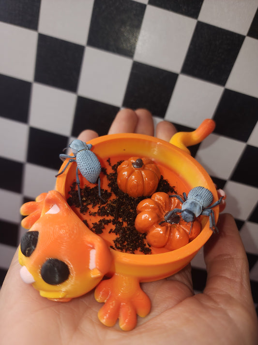 Mystic cat sandbox